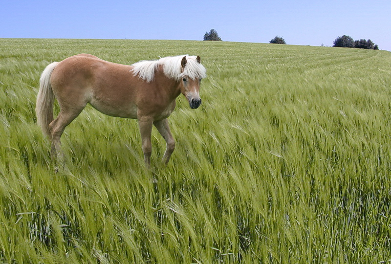 xyz Landschaft-0602.jpg